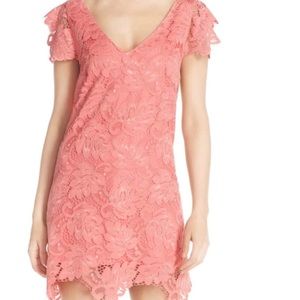 BB Dakota Lace dress